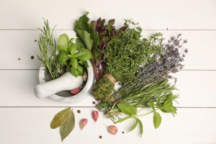 Bouquet Herbe aromatique