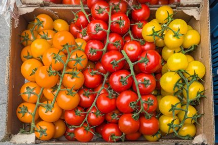 Tomate cerise